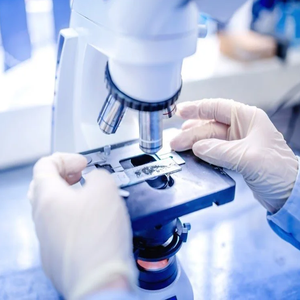 microscopy+services+laboratory