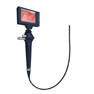 Portable Digital